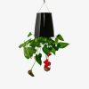 Medium Ceramic Sky Planter - immagine 2